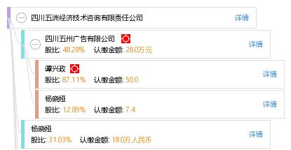 四川五洲經(jīng)濟(jì)技術(shù)咨詢有限責(zé)任公司 專業(yè)優(yōu)勢(shì)與技術(shù)咨詢服務(wù)