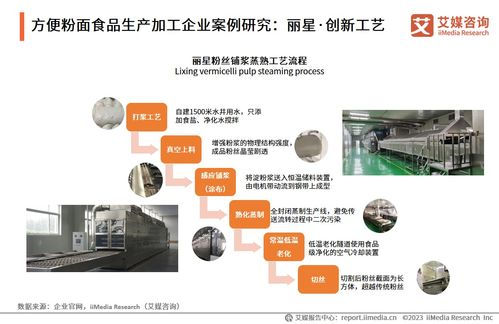2023-2024年中國(guó)方便粉面食品行業(yè)技術(shù)發(fā)展趨勢(shì)與市場(chǎng)前景研究報(bào)告